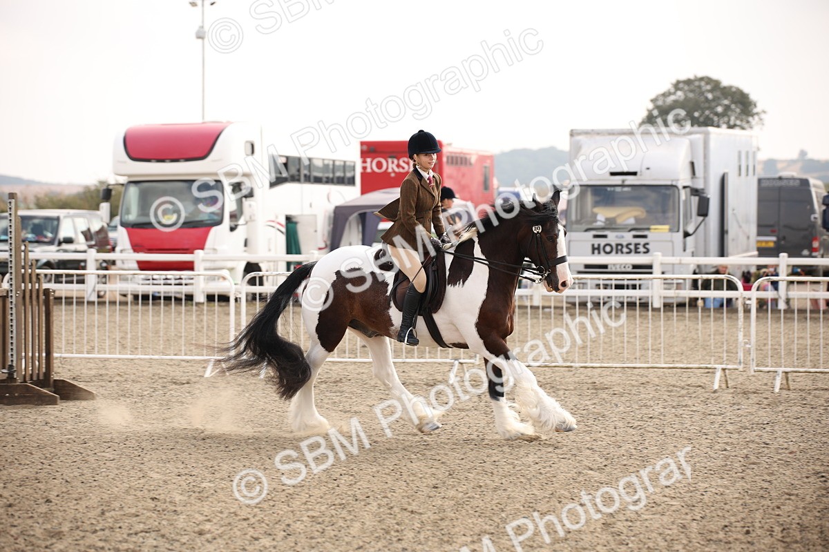 SBM_11672 - Class 404b Junior Working Veteran- 40cm(20+)