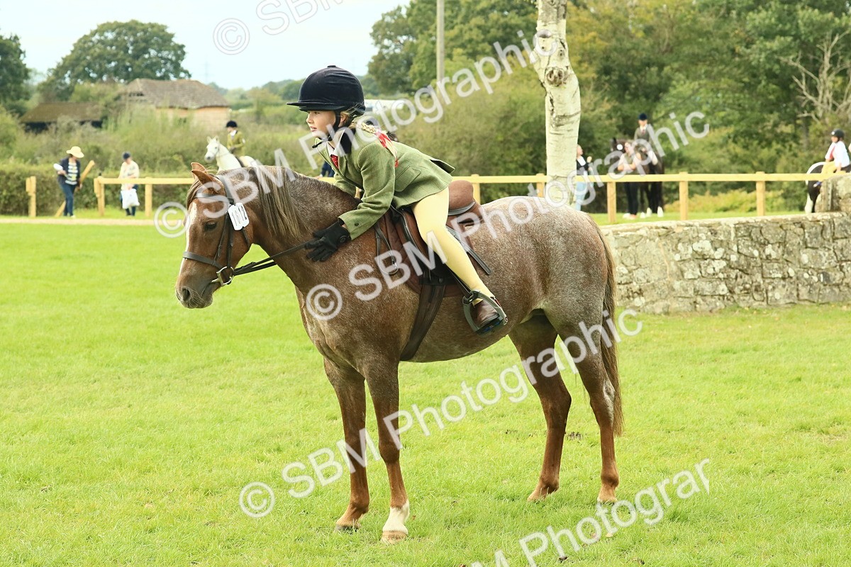 SBM_69964 - S59 - Mountain & Moorland Ridden Small Breeds