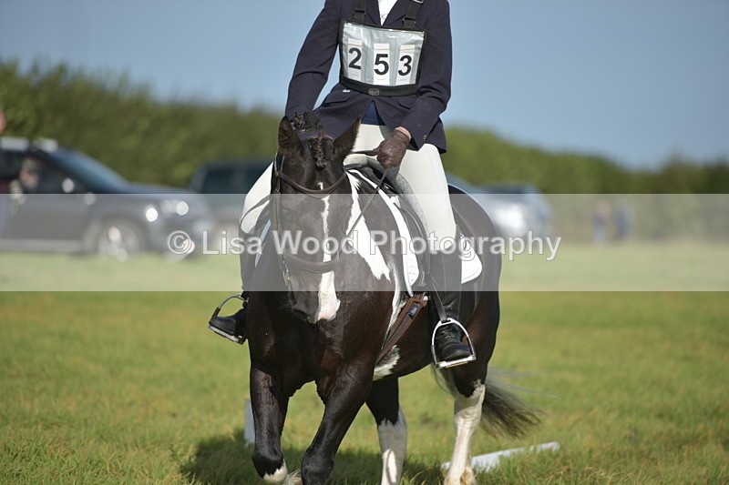 RAY_7319 - Class 2B: Trekenning Open: Dressage