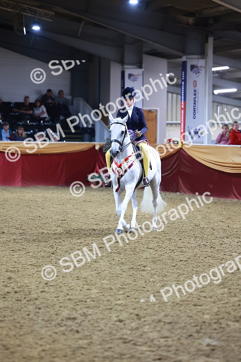 SBM_15656 - Class S - Style & Performance Champ