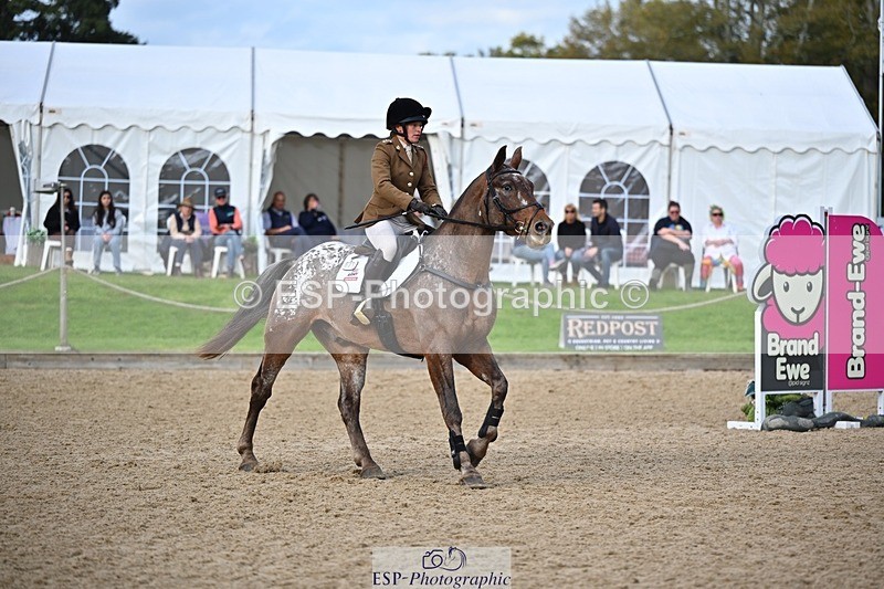 241027-143308-17935 - 501-Captain.Holly.Day-MUSTANG