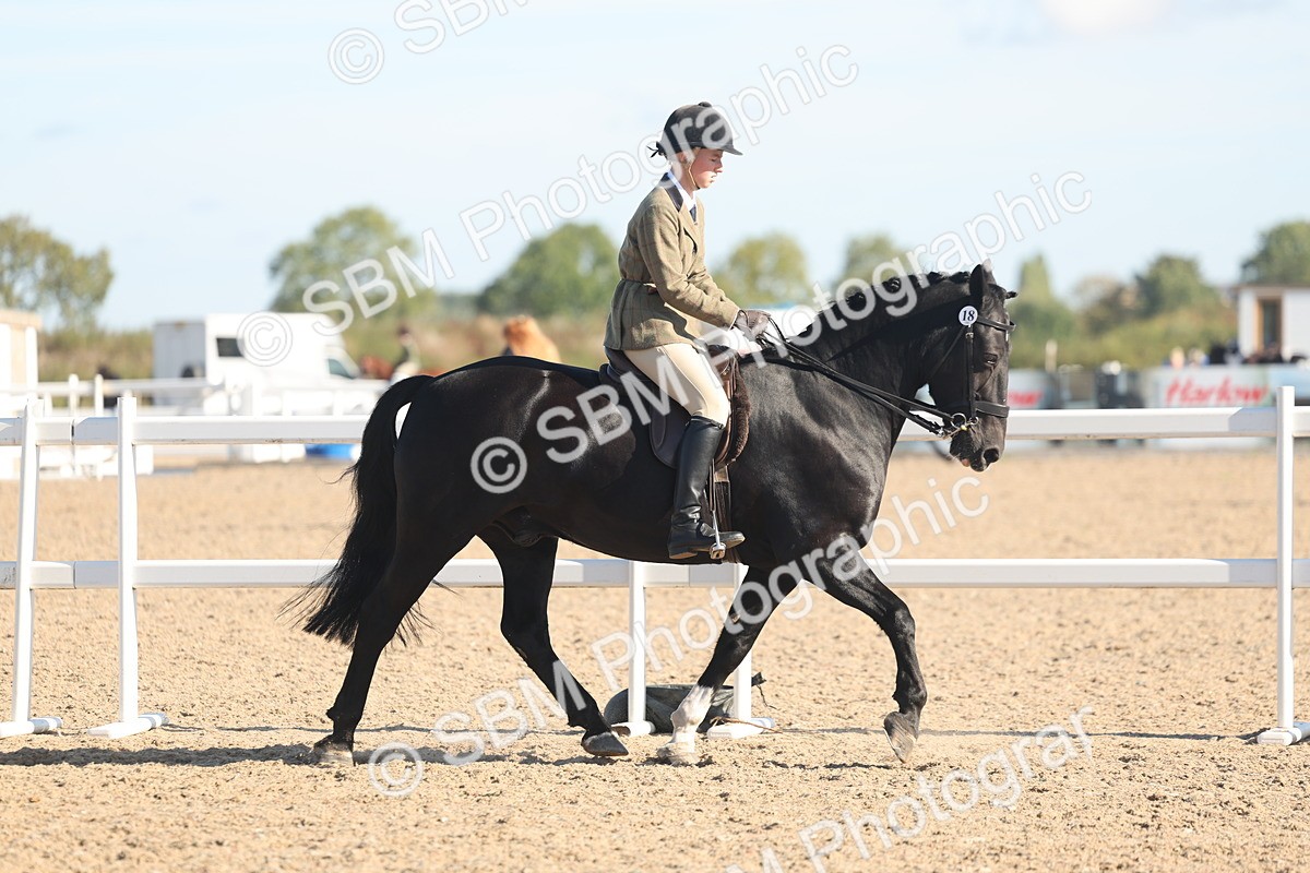 SBM_12282 - Class 304 - Ridden part Bred Horse Pony