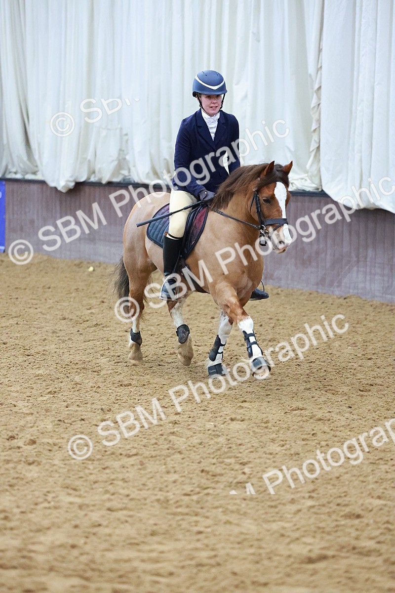 SBM_000407 - Class 19 - 50cm