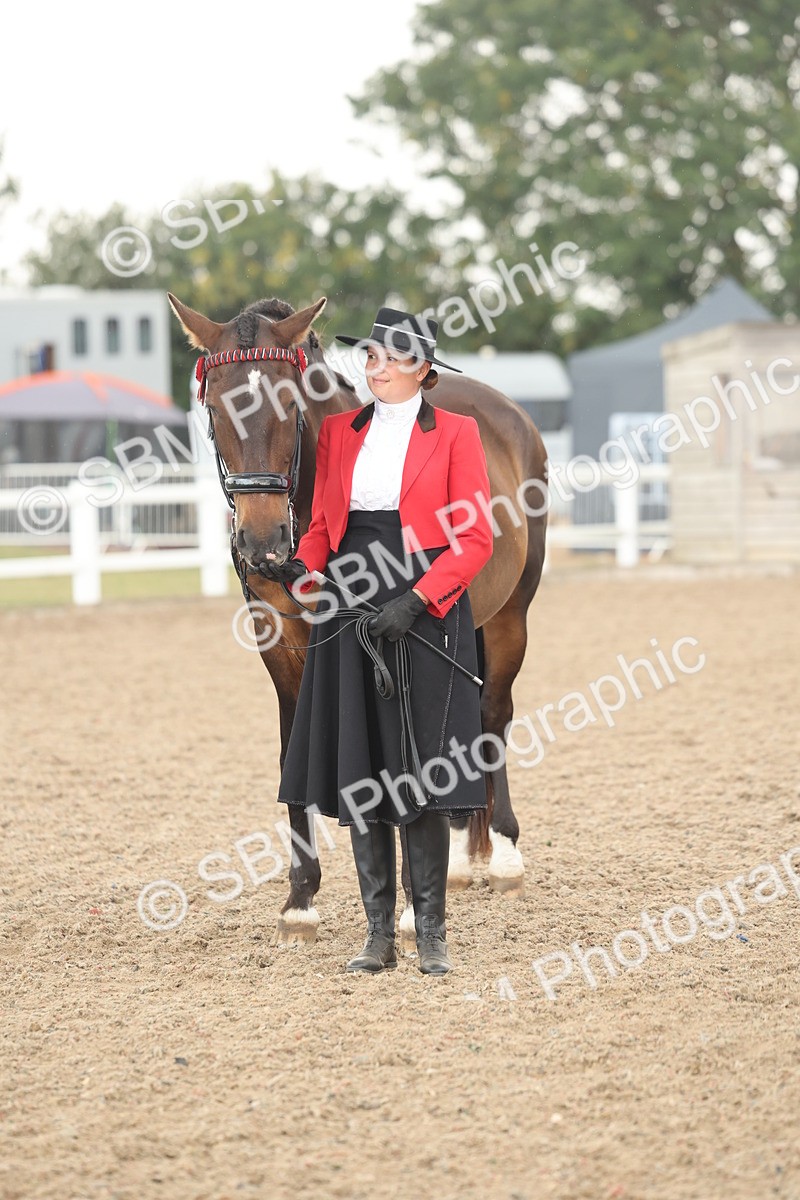 SBM_07699 - Class 26 - IH Foreign Breeds - Part Bred
