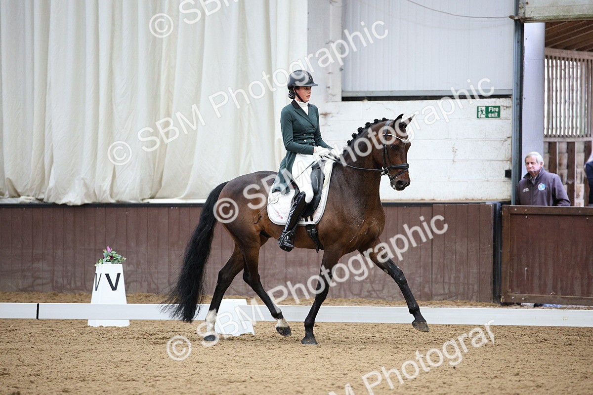 SBM_008011 - Class 12 - FEI PSG 14.46-15.50