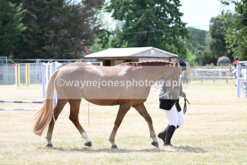 WJ7_1992 - Class 4a Prettiest Mare 14.2hh and over hand