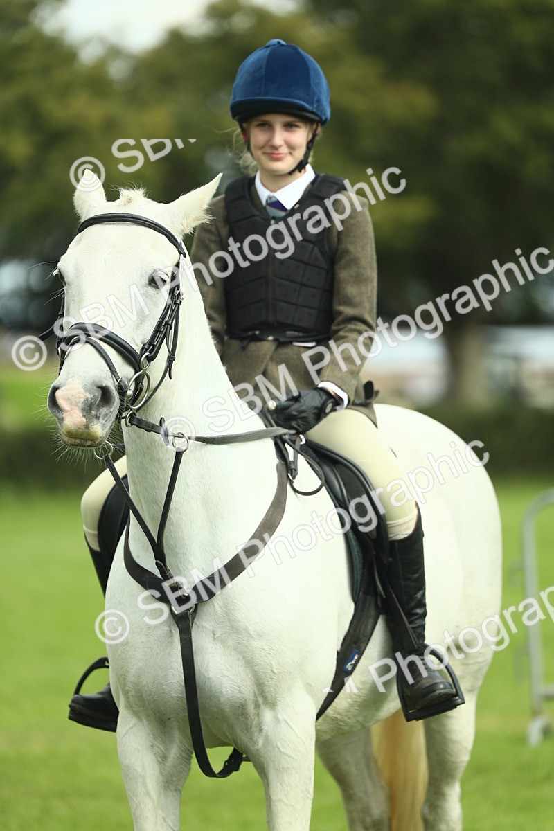 SBM_44793 - S31 - Working Hunter Pony