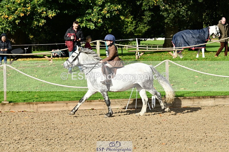 251004A-102243-00428 - Classes 1-2-3 40cm