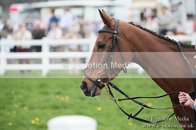 PtP 210418 131 - South & West Wilts Point-to-Point Larkhill 21/04/18