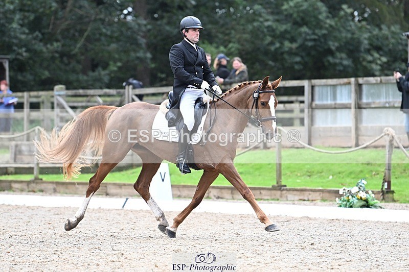 231019-145755-04325 - 059-MINNIE.MANOEUVREZ-Mark.Ford-DR