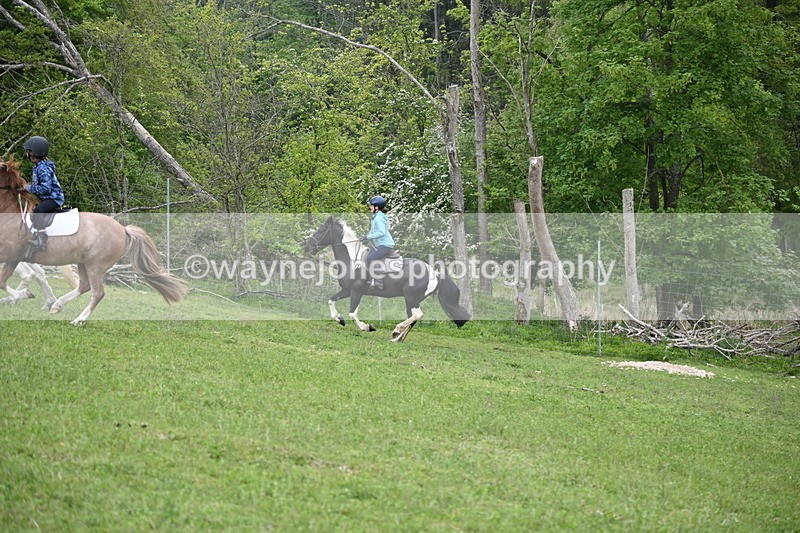WJ6_3058 - A Camera