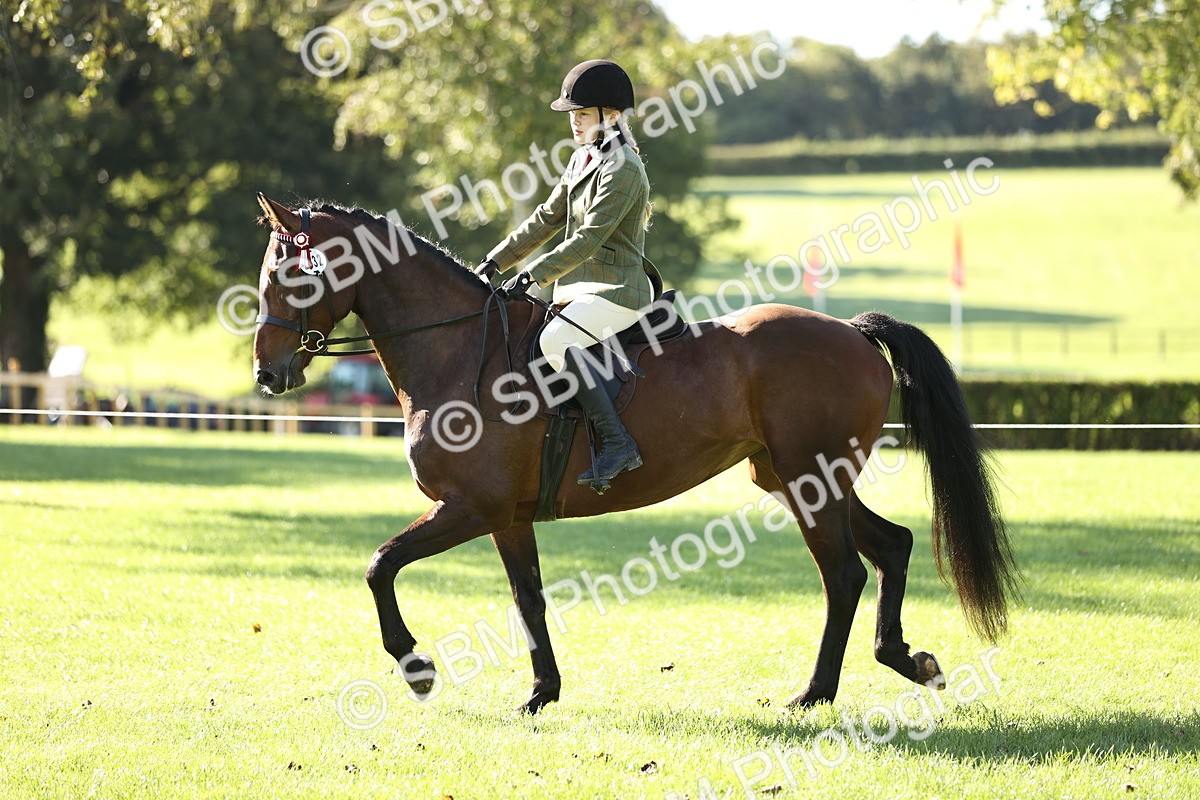 SBM_16887 - S2 - TSR Ridden Pony Showing