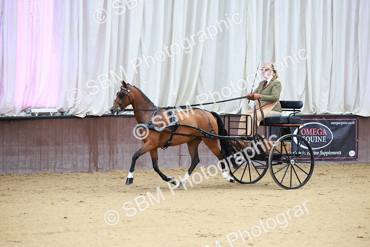 SBM_000113 - Class 3 - Alison Thomas Memorial Lady Whip