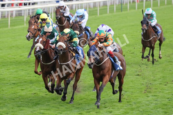 yr24092021r7-16 - Race 7 4.55pm William Hill Free or Four Fillies' Stakes