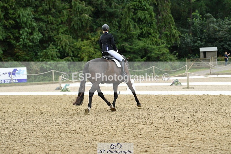 250718A-103849-00219 - 061-Louise.Christie-High.Hoes.Dandelion