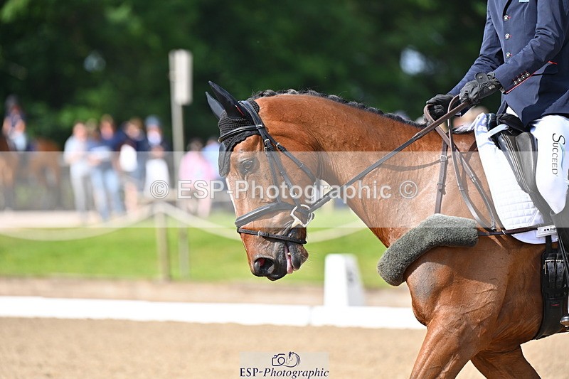 250523A-093945-05298 - C-258-Bill.Levett-ITALIAN.HARLEQUIN.NJ