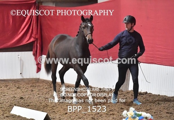 BPP_1523 - MORNING 9AM - 12PM