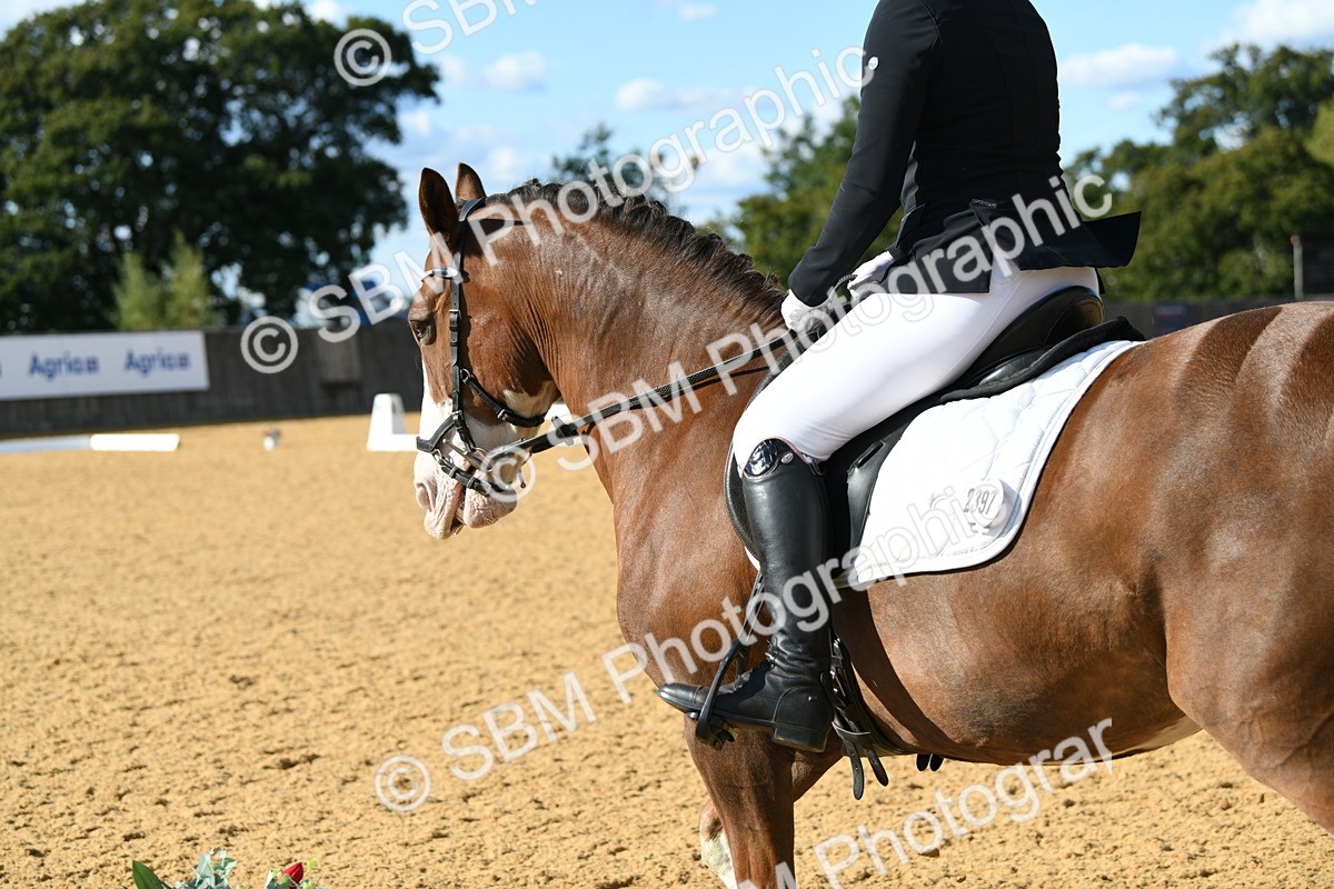 SBM_27088 - D16 - Small Tour Championship - Novice 28