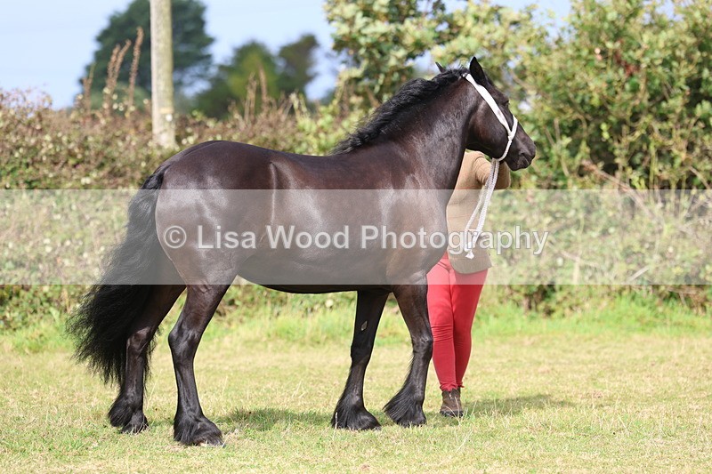 3E7A4695 - Class 16: Best Grass Kept