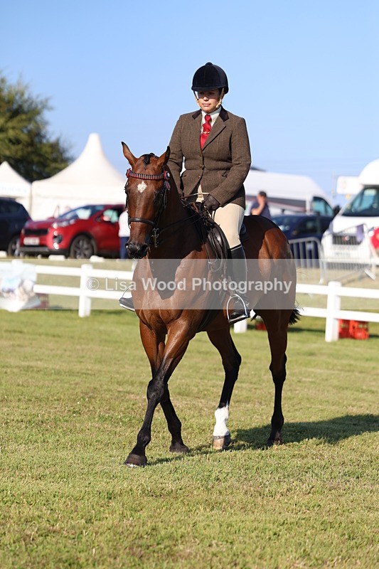 3E7A5107 - Class 1: Rising Star Small Hack/Riding Horses