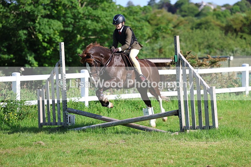 3E7A5923 - Class 27: Novice Working Hunter Pony