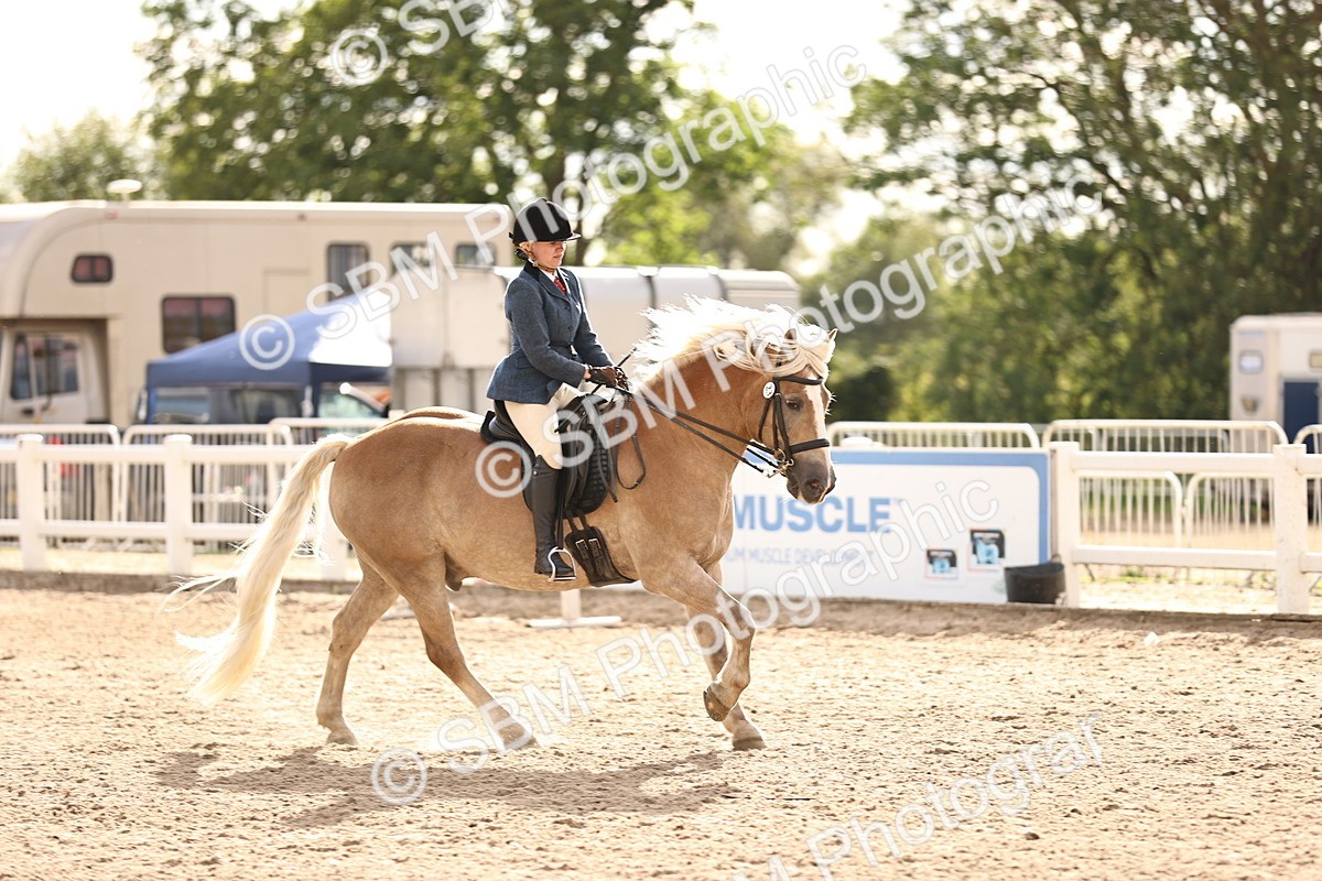 SBM_18230 - Class 423 - Equitation (best rider) Adult
