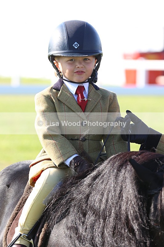 JPP_0725 - Class 16: Cornish Combination Leading Rein