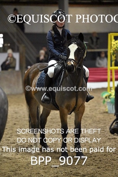 BPP_9077 - CLASS 4 60CM