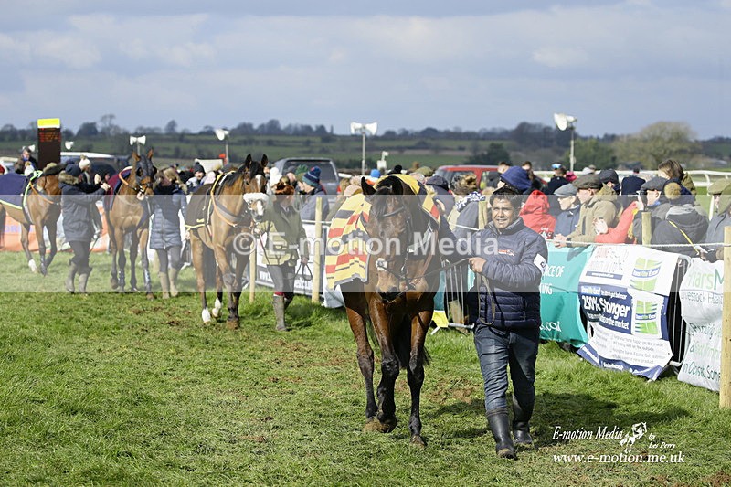 PtP 060322 213 - Blackmore & Sparkford Vale Hunt PtP 06/03/22