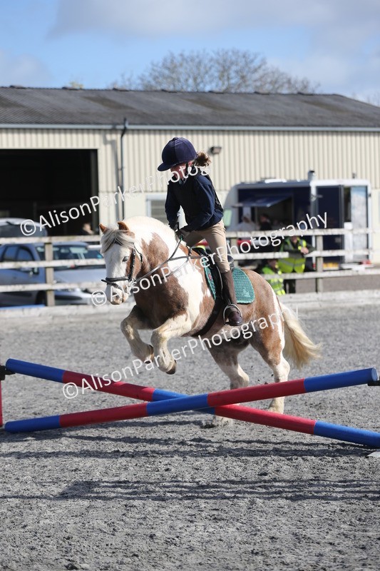 20260412-0060 - Show Jumping