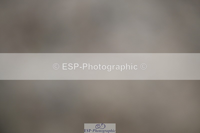 240611A-163624-00250 - 50cm