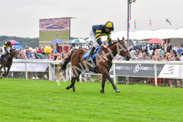 100923-Pony Race 1-1556 - Pony Race 1 12.25 The Dragon (TV and Film) Studios Pony Race 148cm & Under
