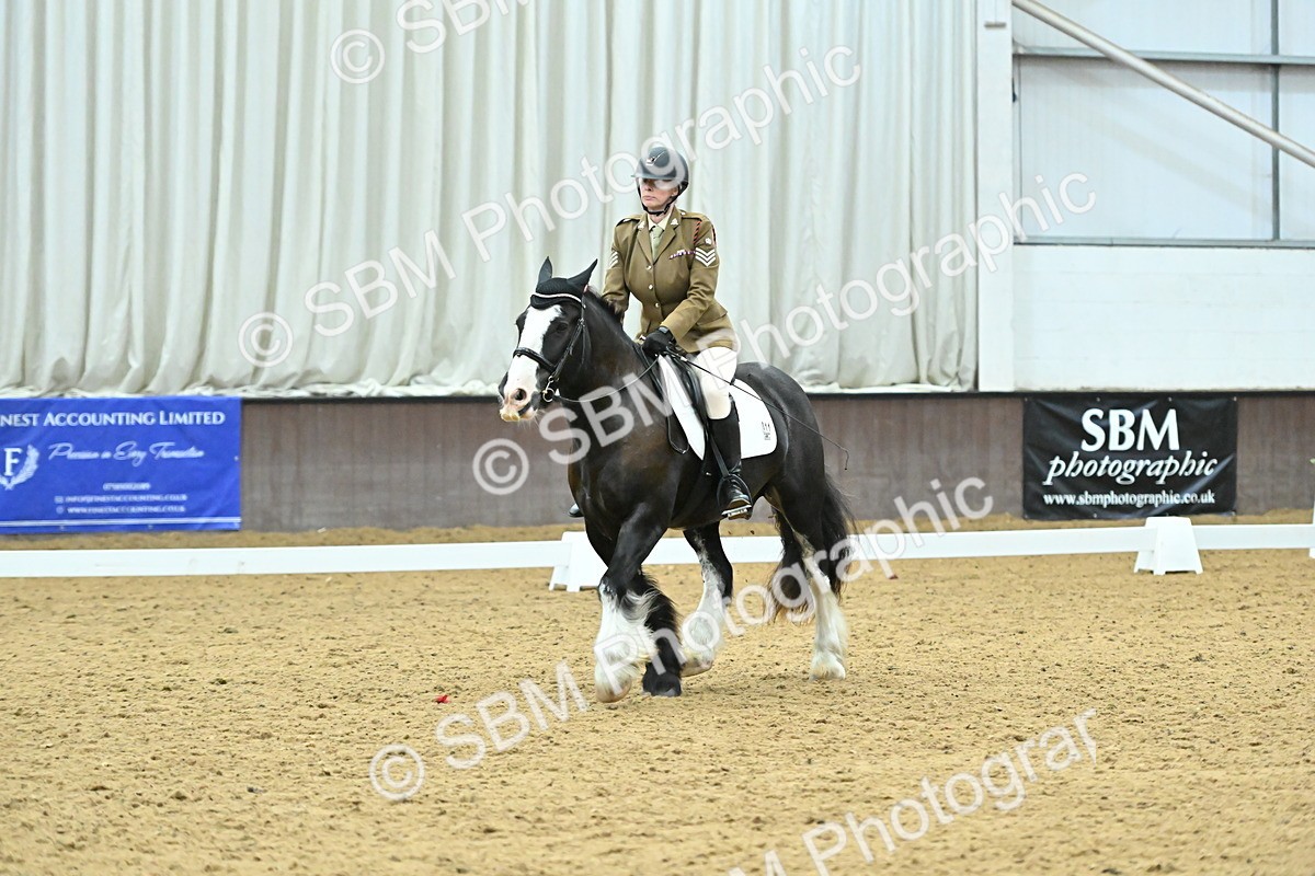 SBM_007451 - Class 81 - Novice 3