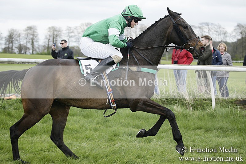 PtP 170417 20 - Old Berks Point-to-Point Lockinge 17/04/17