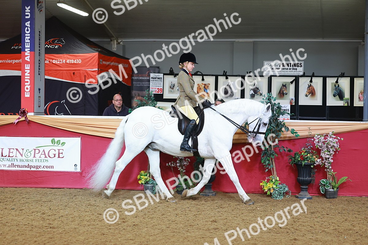 SBM_07604 - Class 101 - HOYS Veteran Qualifier - Ridden Diamond