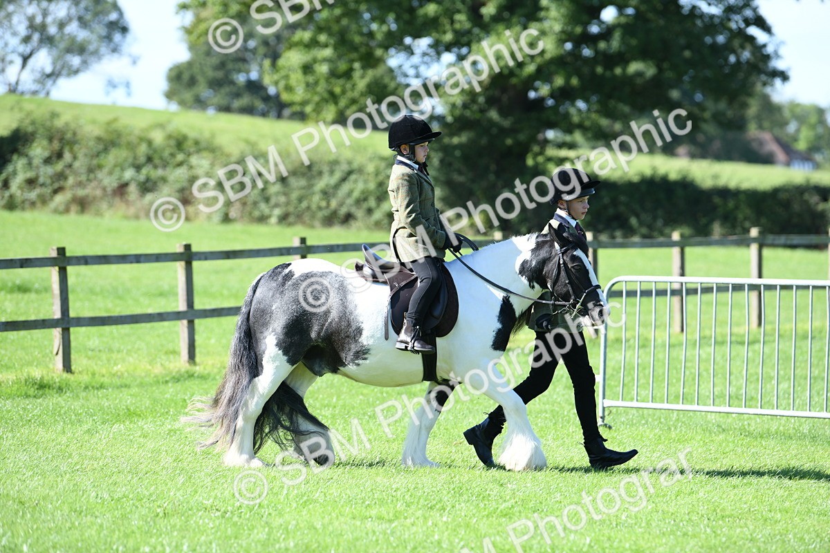 SBM_39569 - S18 - Novice & Newcomers Lead Rein Pony