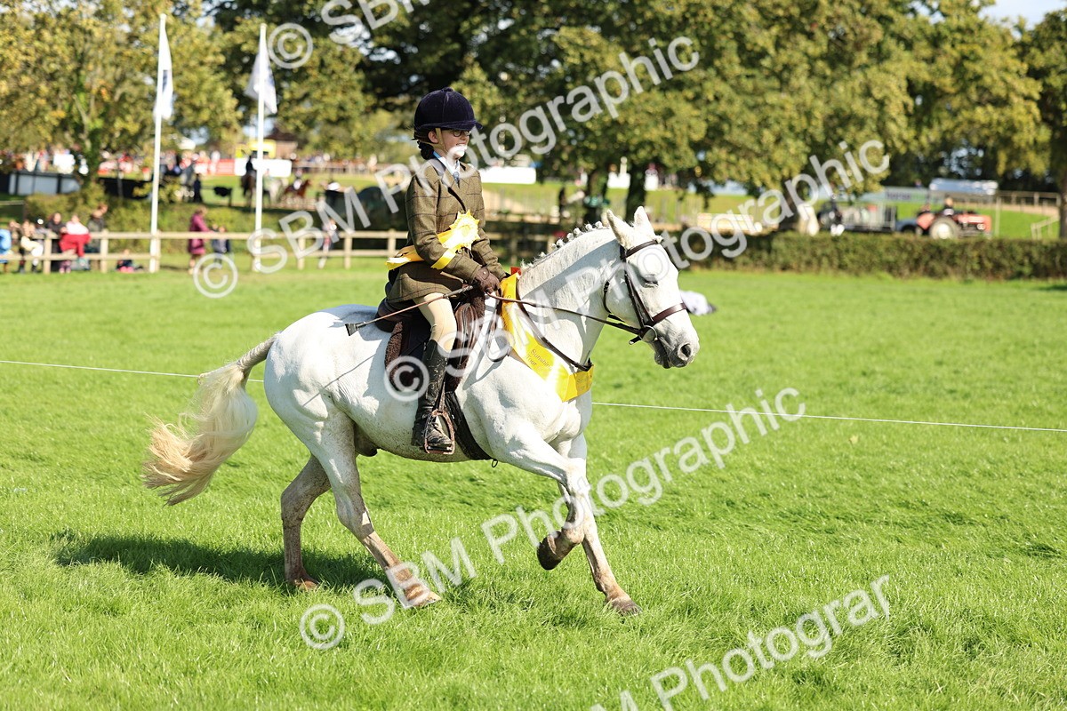 SBM_45468 - S33 - Working Hunter Pony