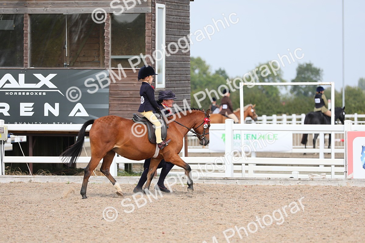 SBM_14055 - Class 309 Lead Rein Pony