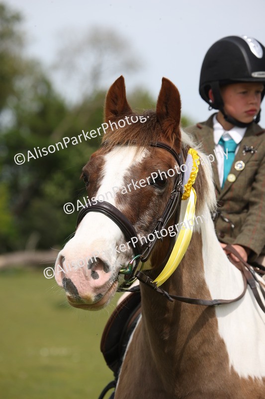 20260426-4435 - Class 34 - Best Riding Horse Over 14.2hh