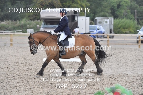 BPP_6227 - ELEMENTARY TEST 4 LONG ARENA