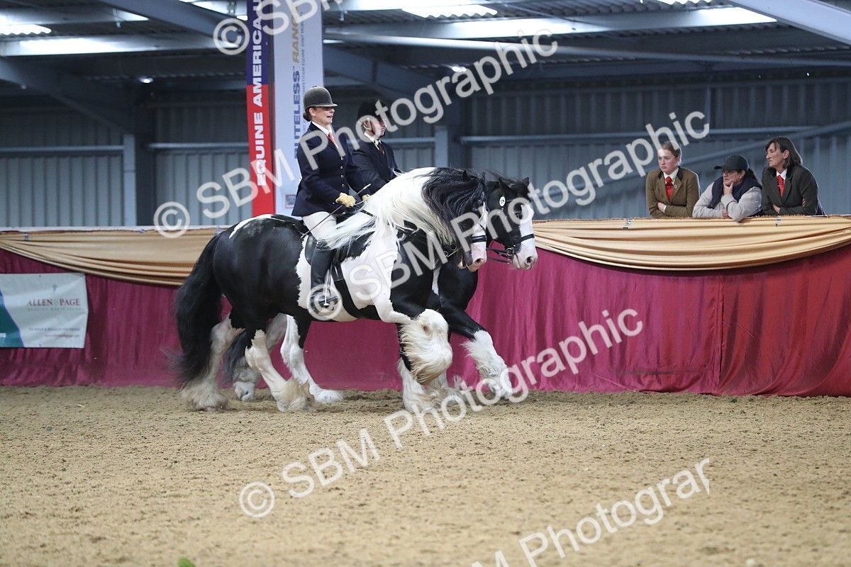 SBM_13666 - Class 109 Ridden Pairs - Section B