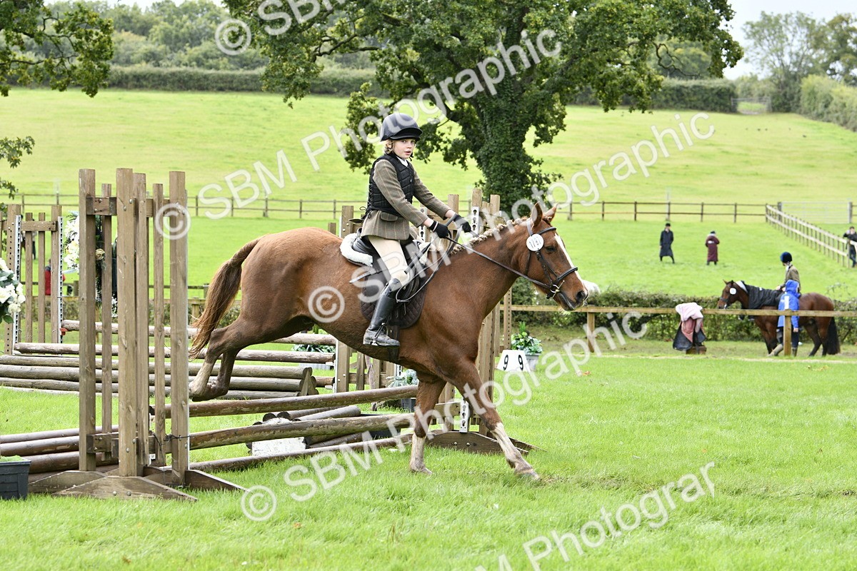 SBM_41473 - S32 - Mountain & Moorland Working Hunter Pony