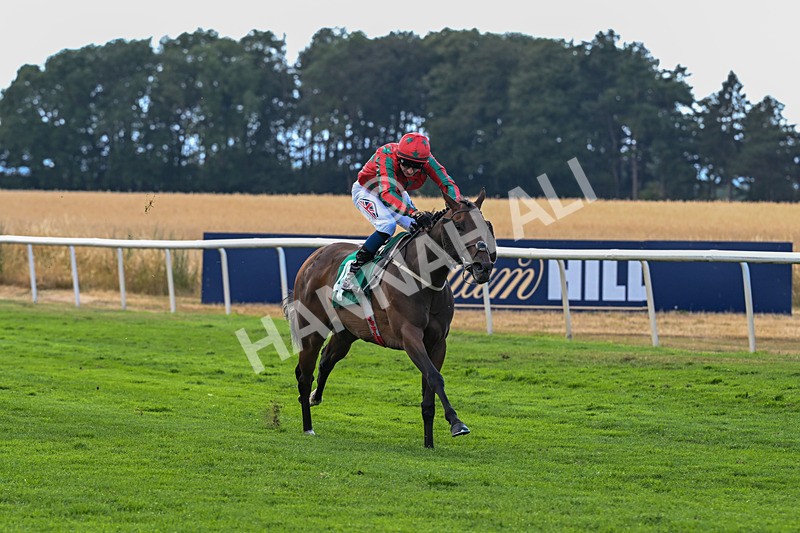 010826-Race 7-Maldevious-3481 - Race 7 16.55pm John Joseph Robson Memorial Handicap