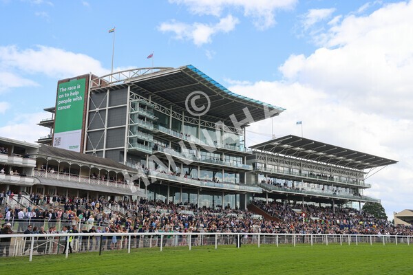 yr11062022r6-38 - Race 6 4.15pm Reg Griffin Appreciation EBFstallions.com Maiden Stakes