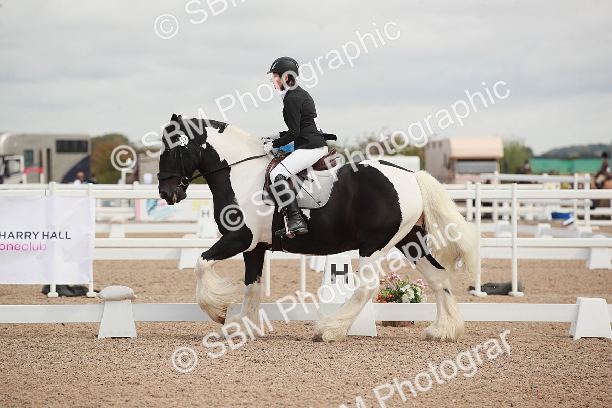 SBM_03823 - Class 31 - Prelim 1