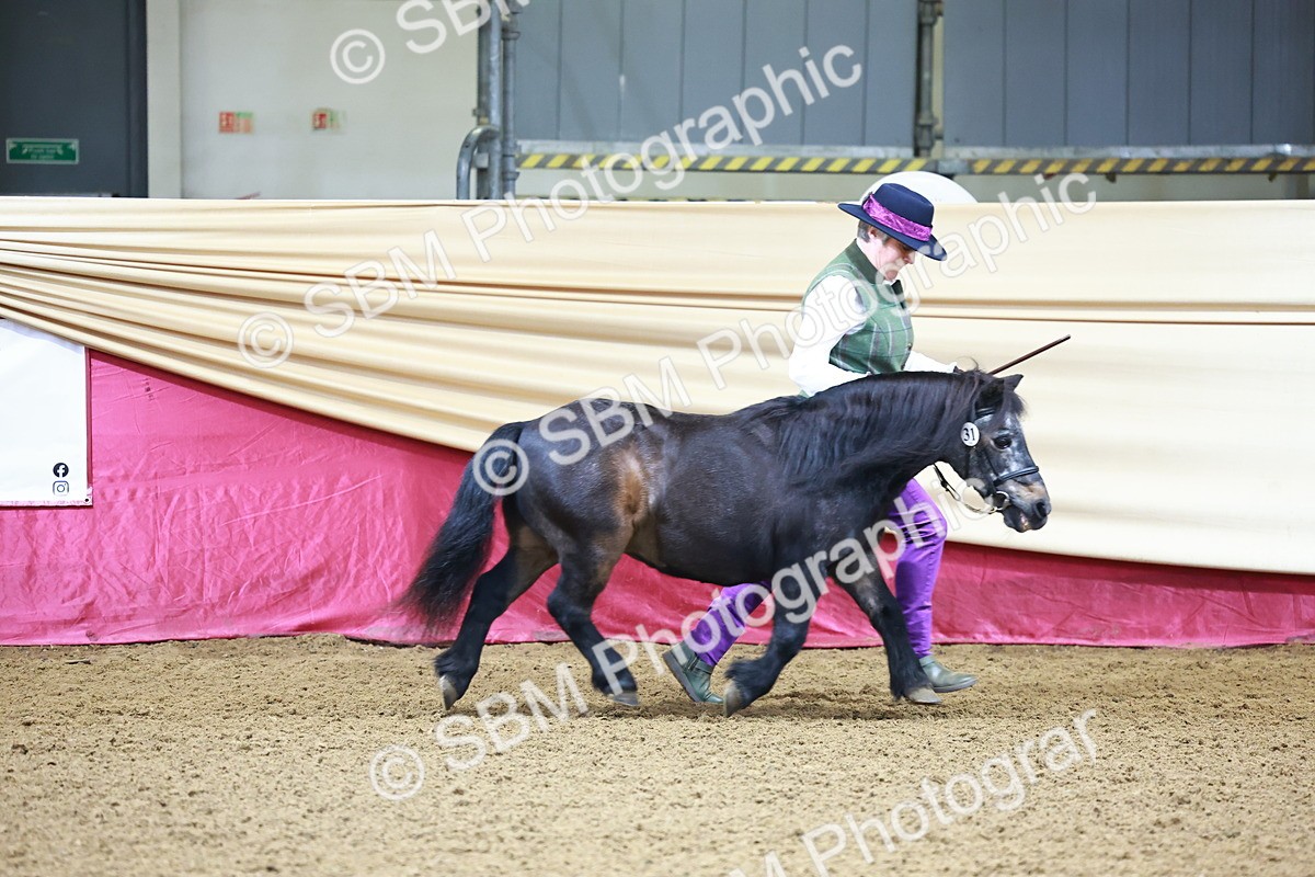 SBM_21627 - Class 901 - Supreme Final - IH  Diamond