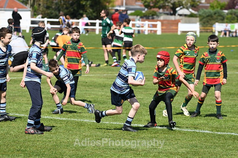  - Selby Rugby Festival 2025