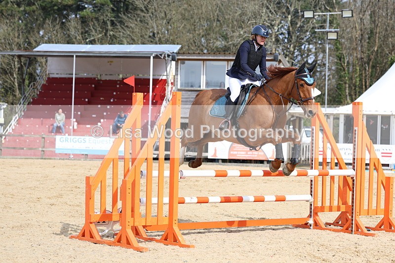 3E7A6779 - Class 4: Senior British Novice/90cm open