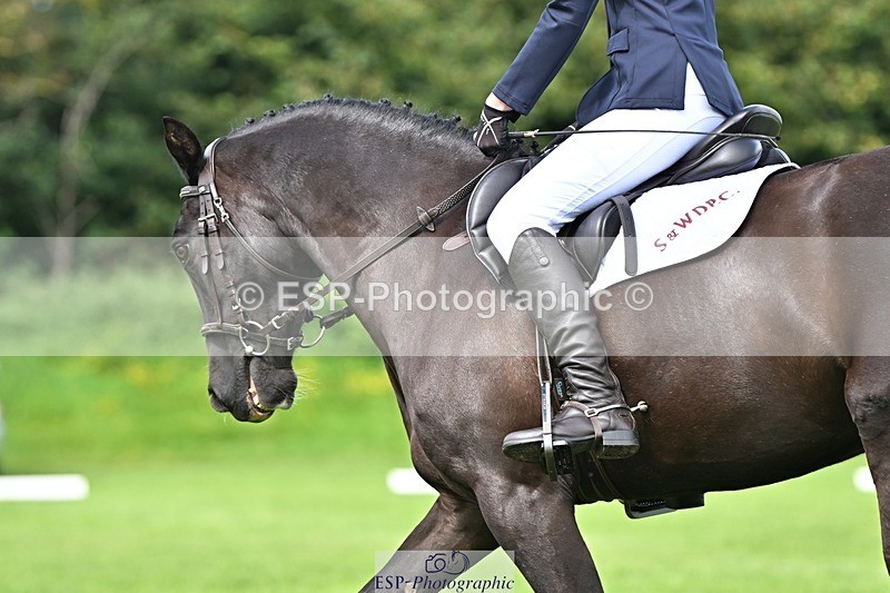 230826-121144-18287 - PC70 Plus