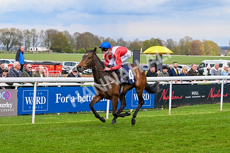 150426-Race 2-Princesse DOrange-5375 - Race 2